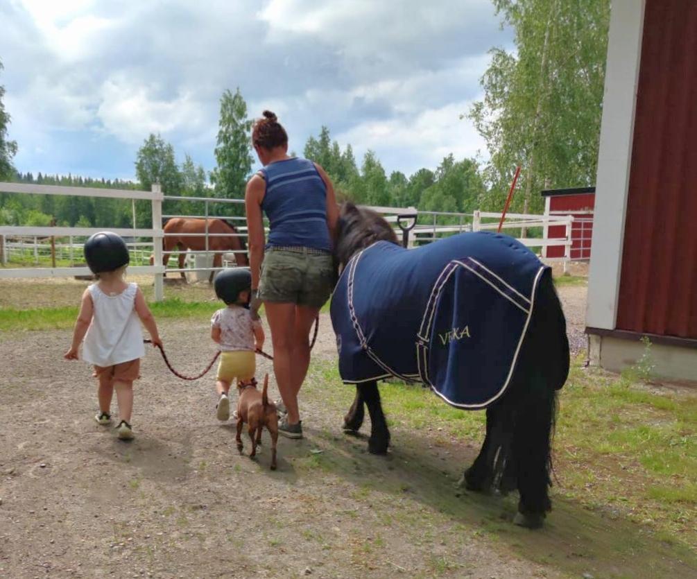 Apartament Bb Polle - With The Horse View Mikkeli Zewnętrze zdjęcie